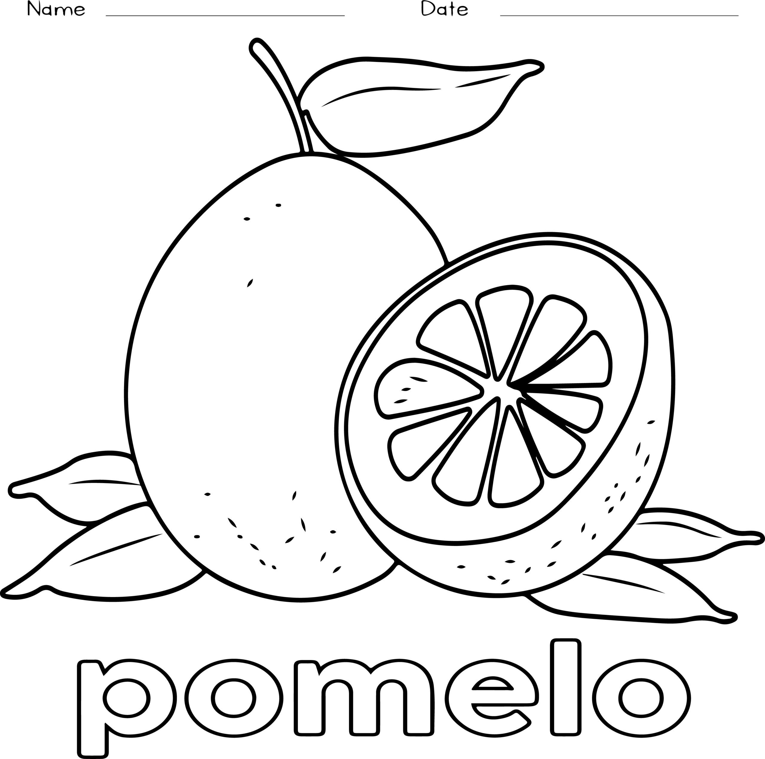 Fruits coloring book funny coloring pages book of unique designs fruit made by teachers