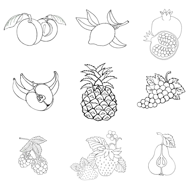 Premium vector set of fruits and vegetables coloring page