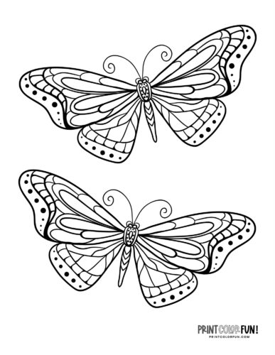 Butterfly coloring pages clipart collection with both easy plex designs at