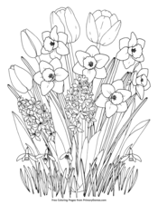 Spring coloring pages â free printable pdf from