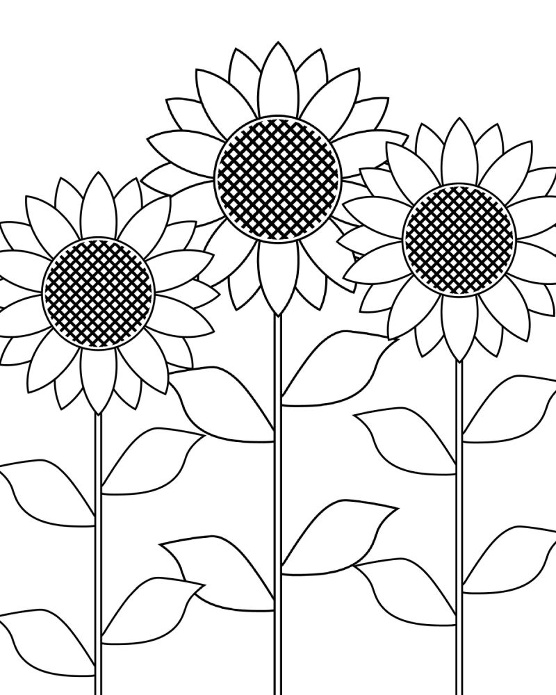 Free printable sunflower garden coloring page