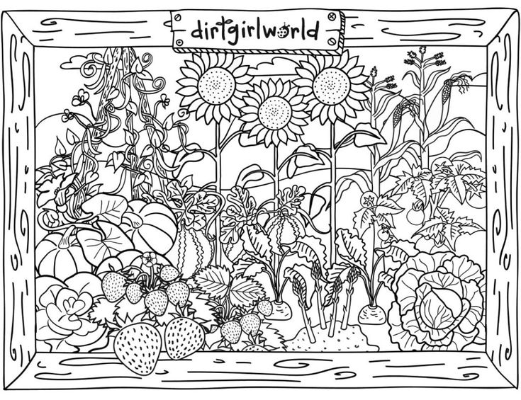 Printable coloring pages garden coloring pages coloring pages gardens coloring book