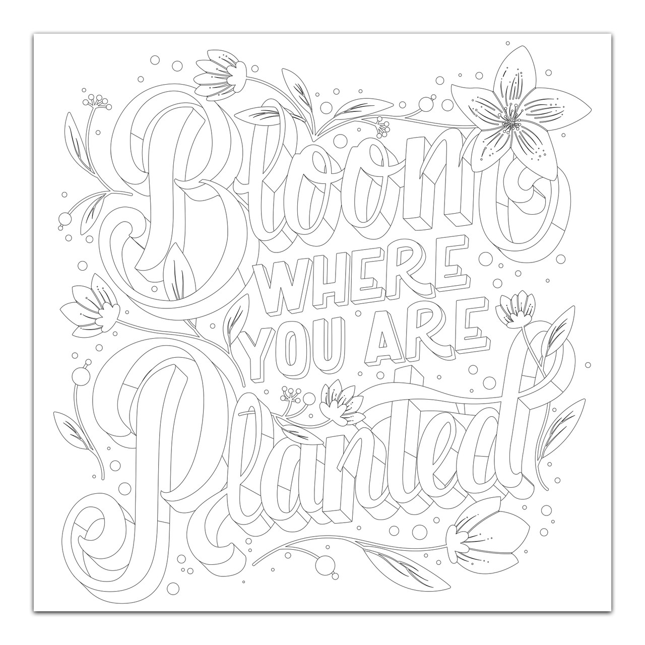 Bloom where you are planted