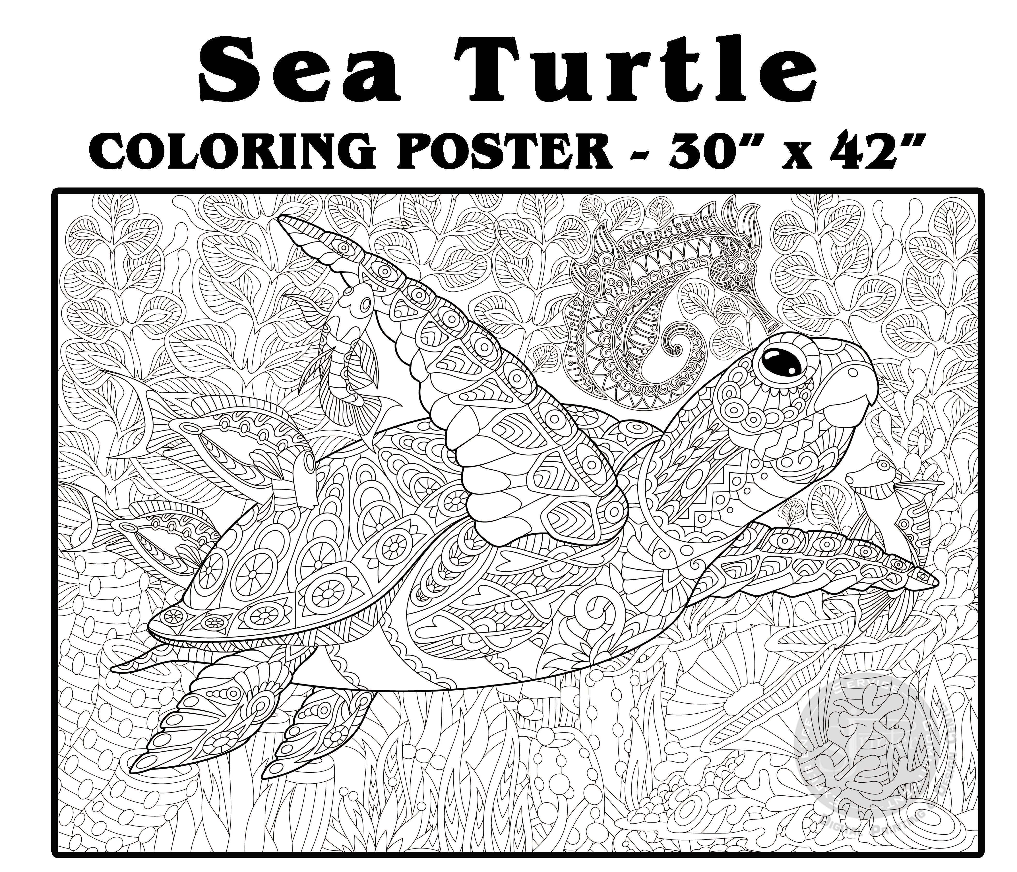 Buy superb sea turtle coloring posters from sjprinter store