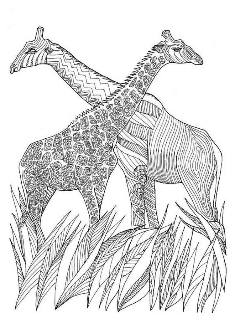 Giraffe coloring pages for adults