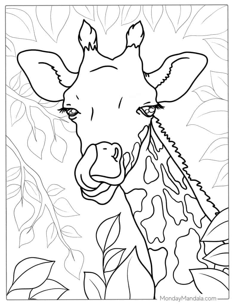 Giraffe coloring pages free pdf printables