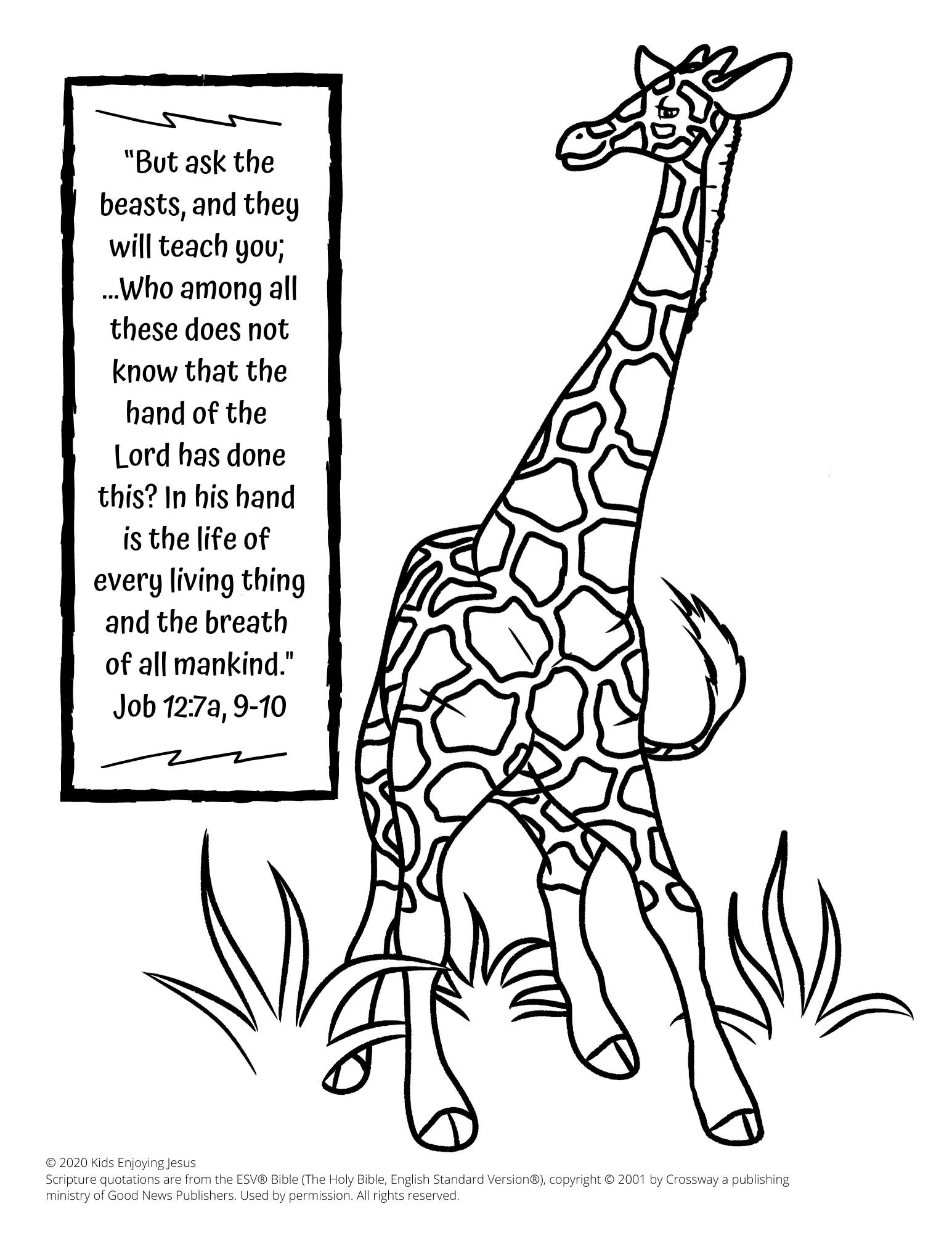 Giraffe coloring page â kids enjoying jesus