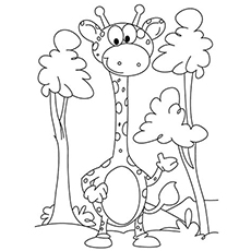 Top free printable giraffe coloring pages online