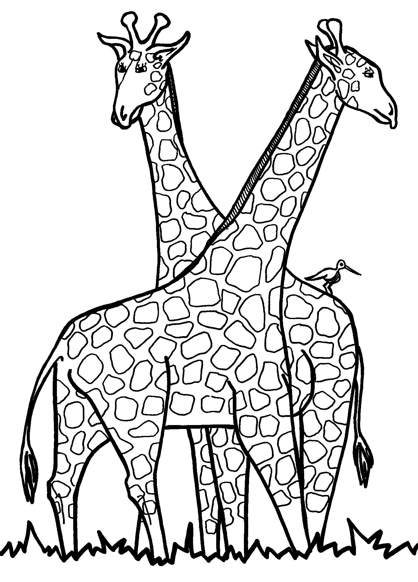 Free printable giraffe coloring pages for kids