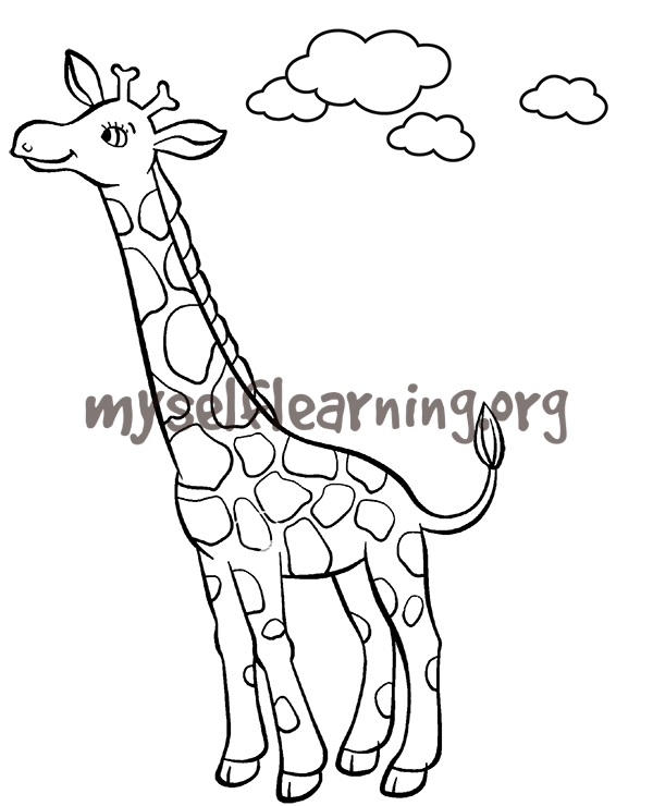 Giraffe coloring sheet instant download