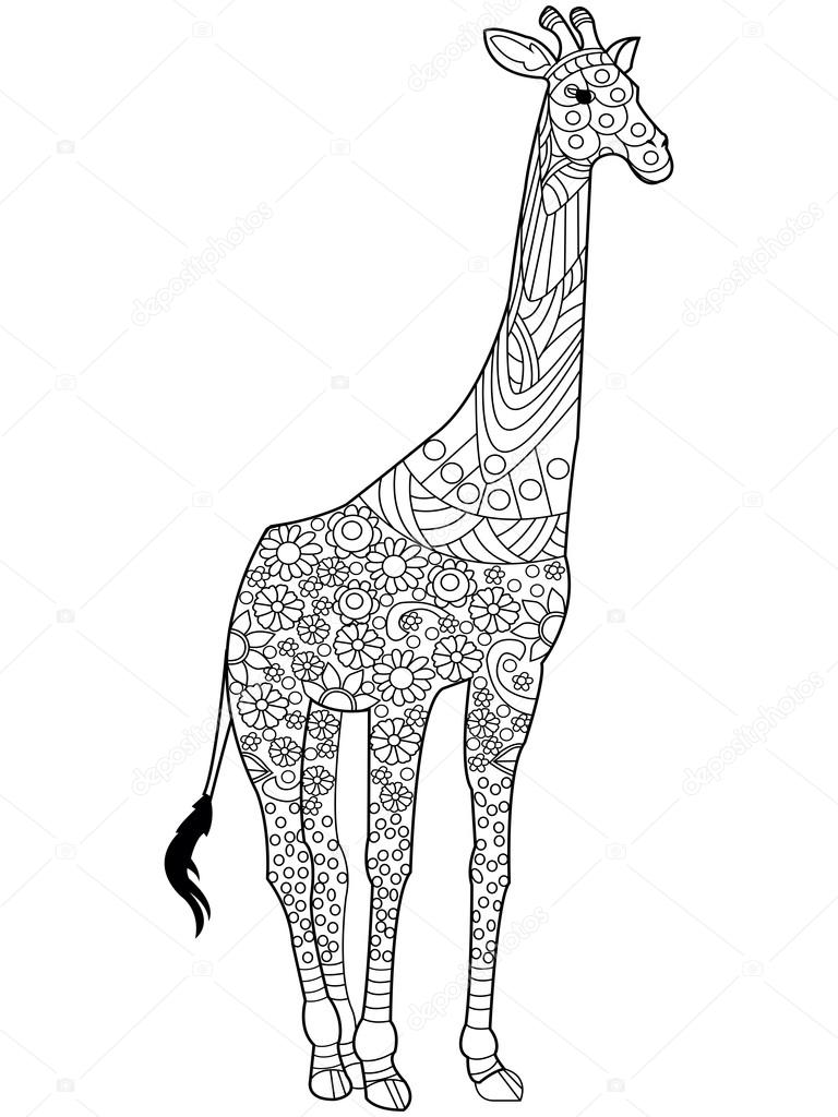 Giraffe coloring book vector for adults stock vector by toricheksgmail