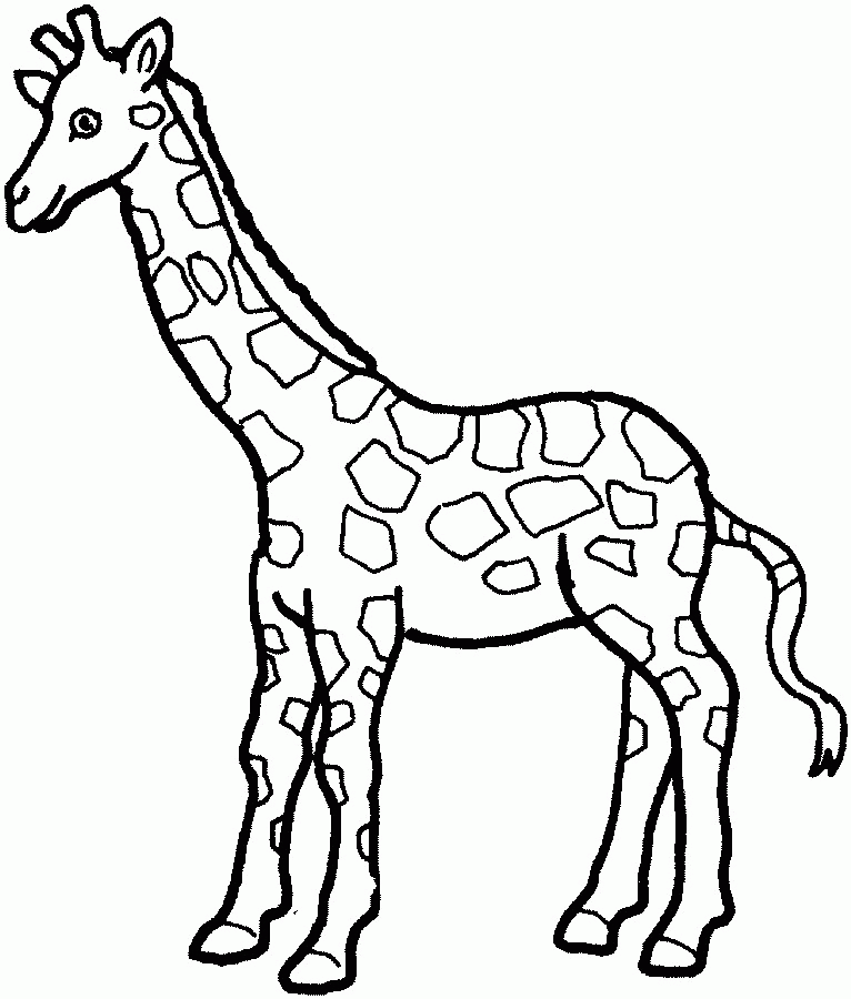 Giraffe coloring pages