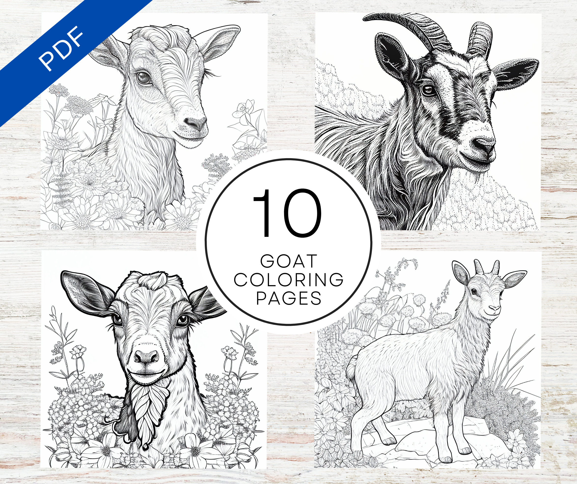 Realistic goat coloring pages for teens adults a printable animal coloring sheets instant download