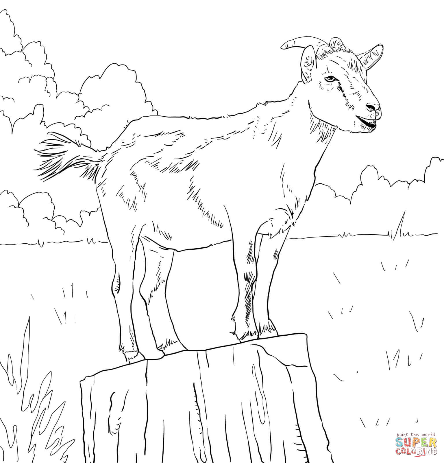 Realistic domestic goat coloring page free printable coloring pages