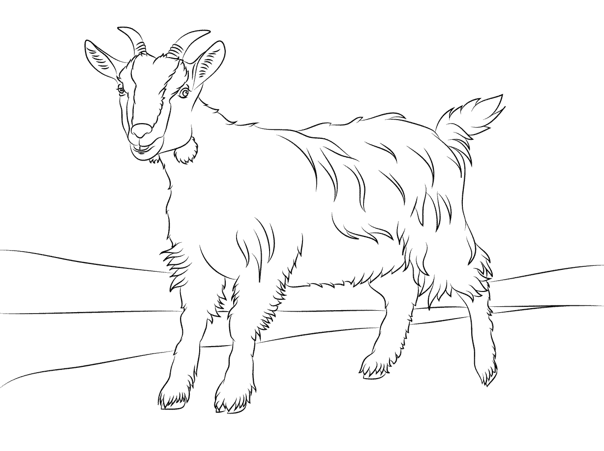 Free printable goat coloring pages for kids