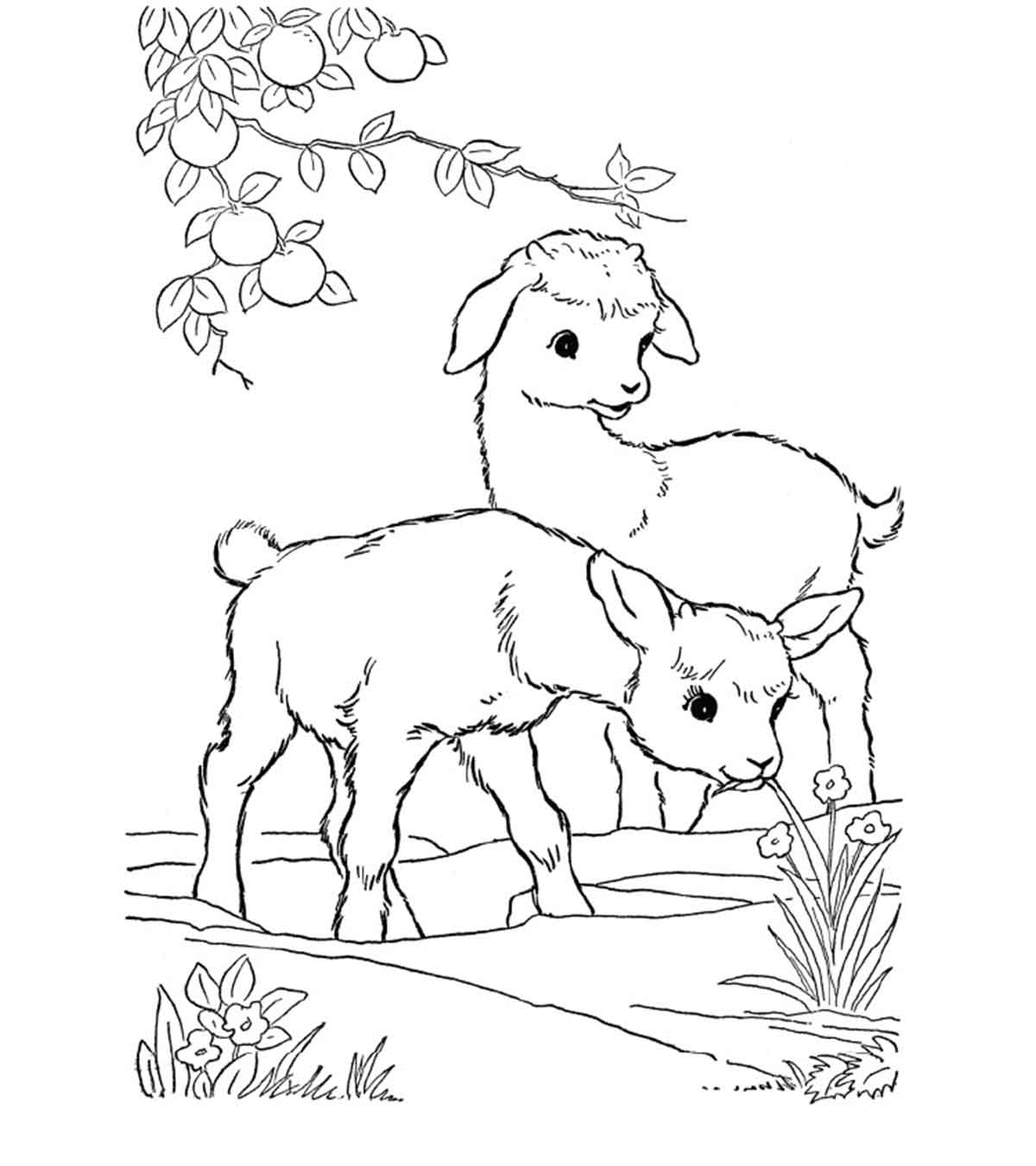 Top free printable goat coloring pages online