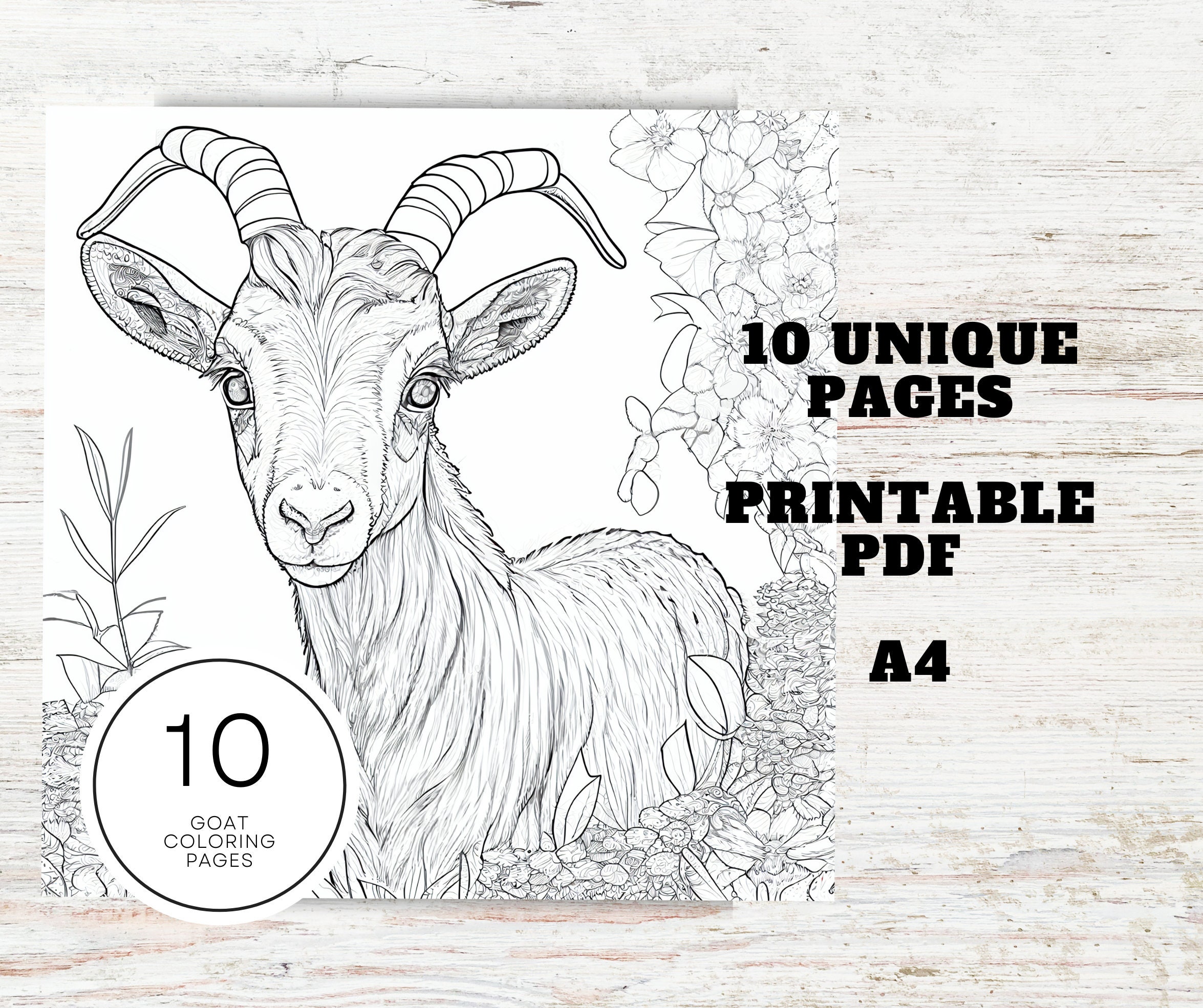 Realistic goat coloring pages for teens adults a printable animal coloring sheets instant download