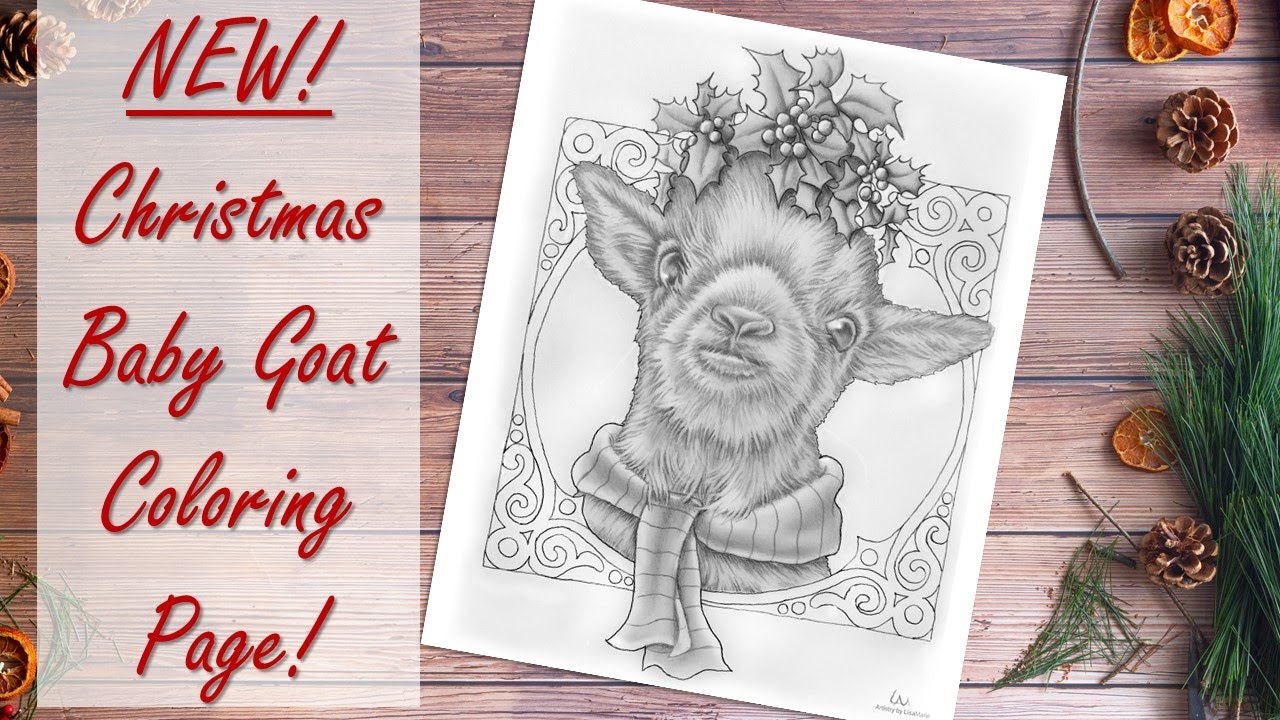 Adorable sneak peek new coloring page drawing christmas baby goat