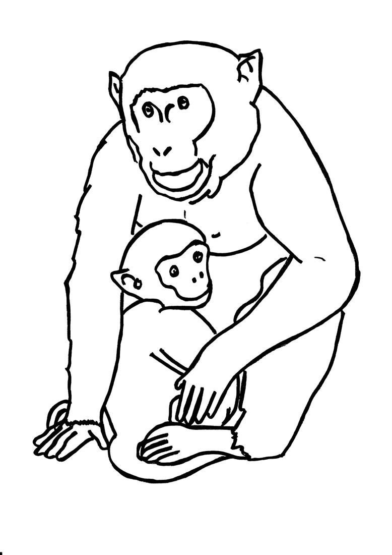 Gorilla coloring printable page