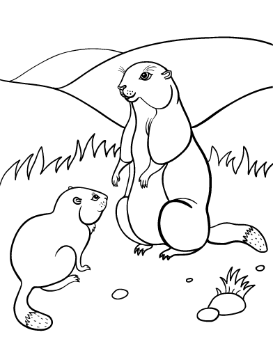 Free groundhog coloring page