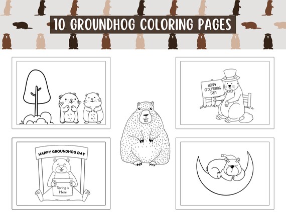 Groundhog day coloring pages for girls and boys cute animal coloring sheets printable color pages instant download