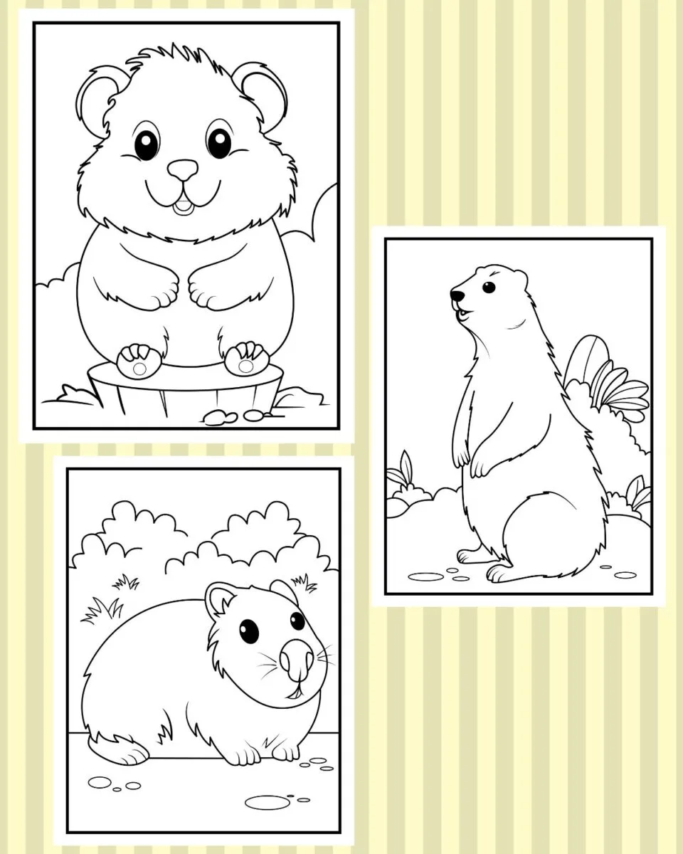 Free groundhog day coloring pages sheets