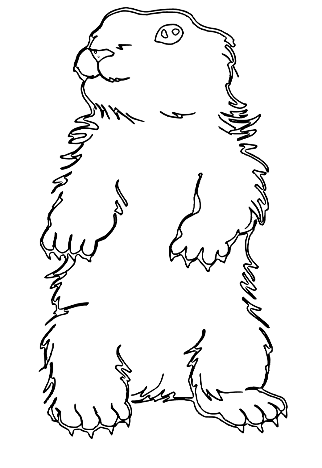 Free printable groundhog day real coloring page for adults and kids