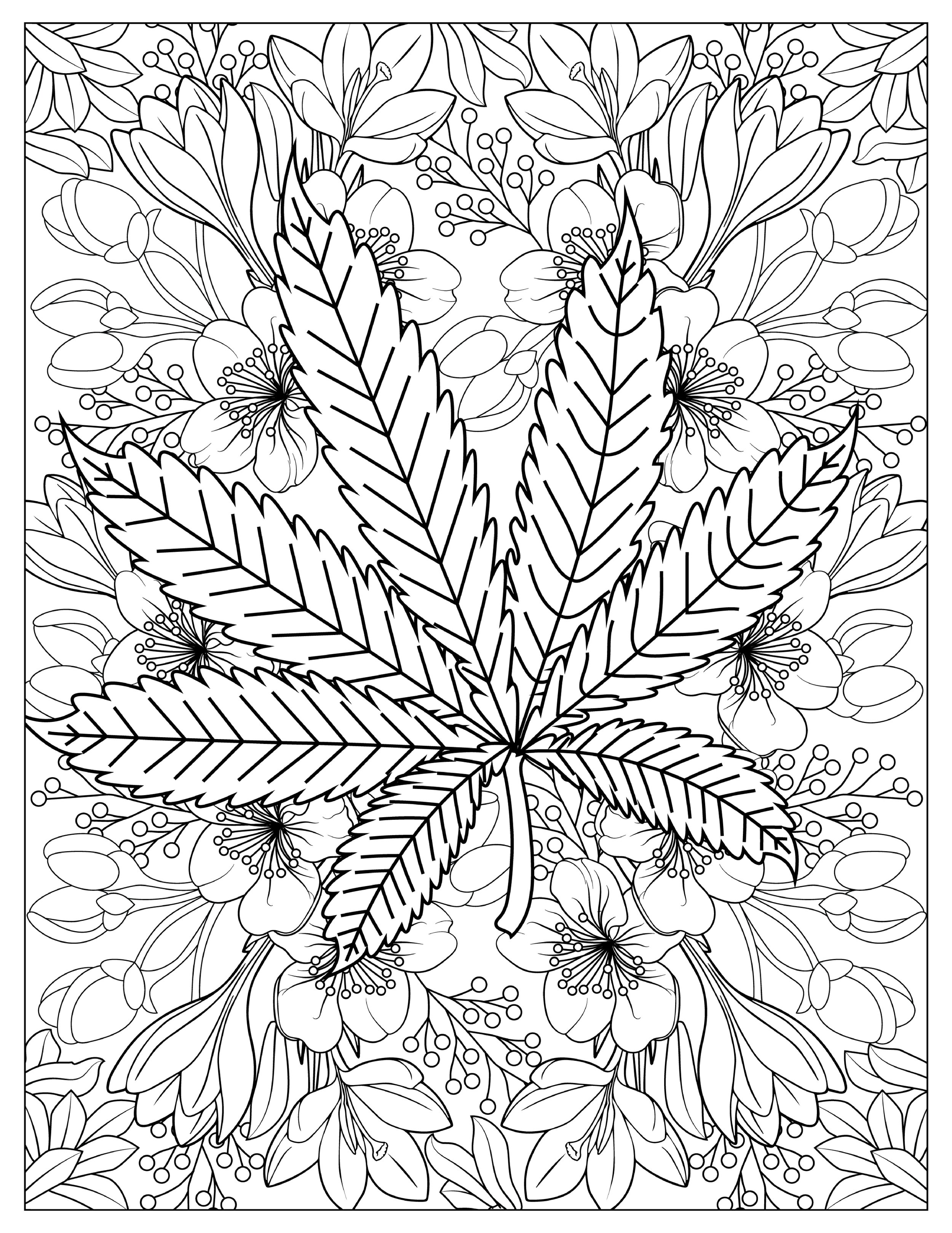 Coloring pages â free weed books