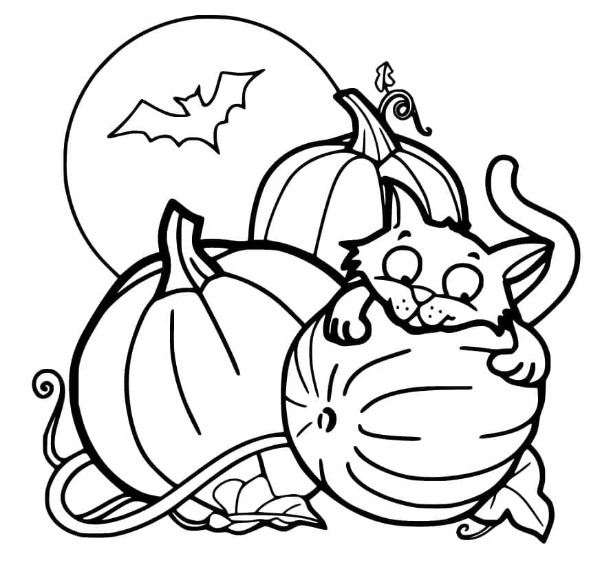 Halloween cat with pumpkins coloring page