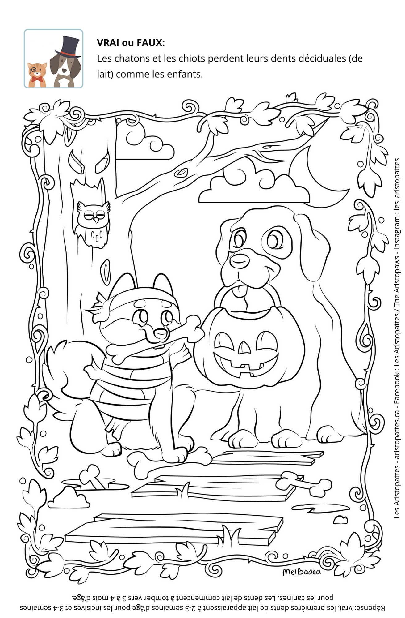 Halloween coloring pages