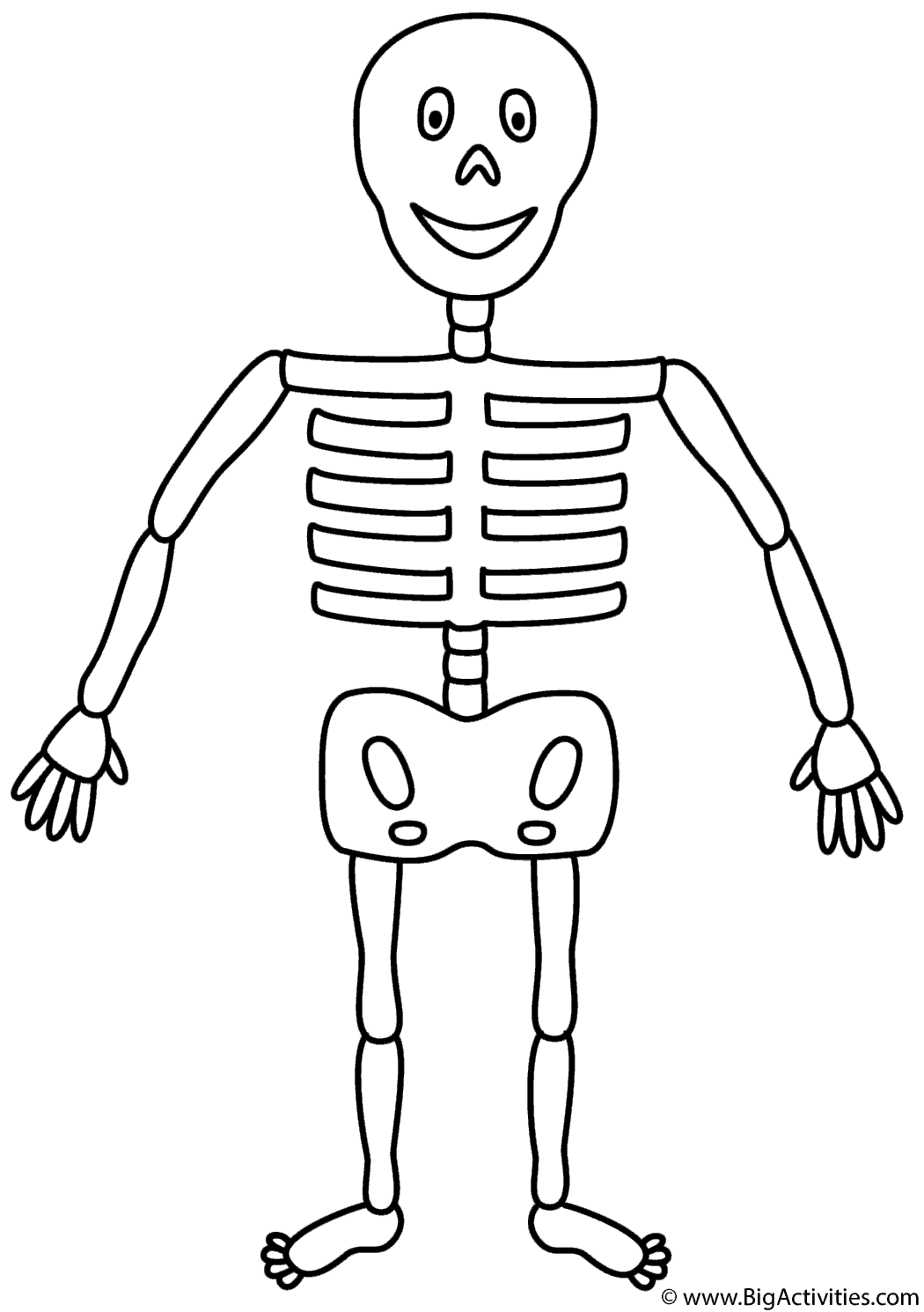 Skeleton