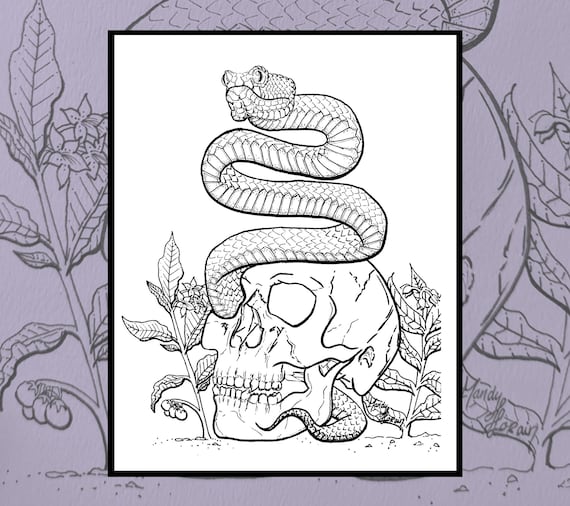 Skull coloring page download reptile coloring page hand drawn adult coloring pages halloween printable coloring sheet coloring skulls