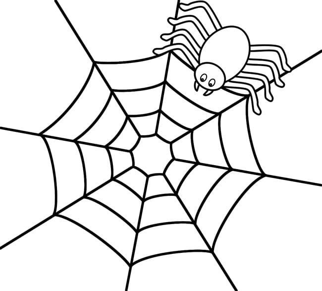 Spider shape