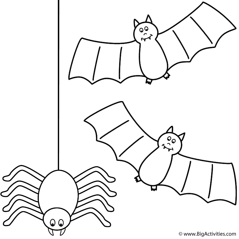 Bats with spider