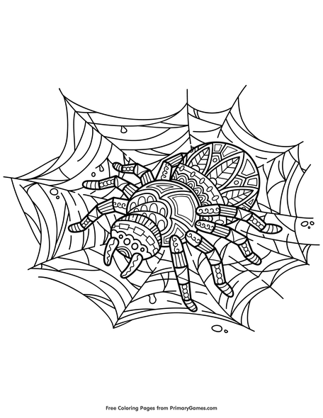 Spider on web coloring page â free printable pdf from