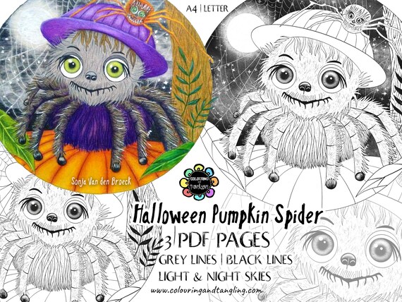 Halloween pumpkin spider coloring pagehalloween coloring pageinsectprintable coloring pagespider coloring pagepdf coloring page