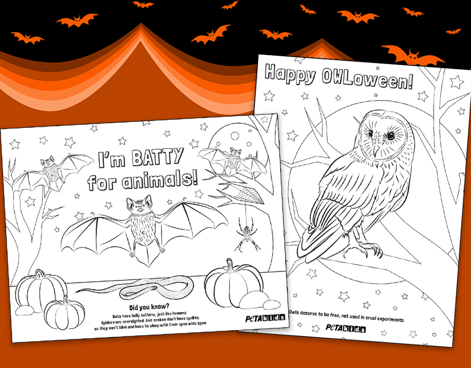 Coloring pages perfect for halloween peta kids