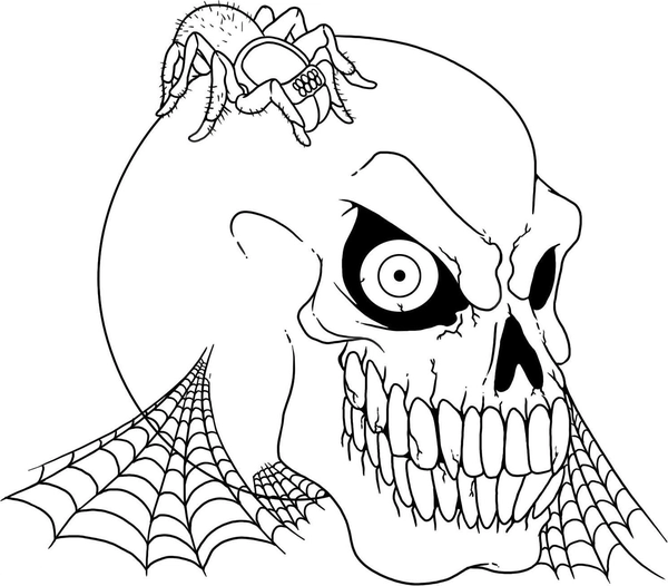 Ðï halloween skull and spider