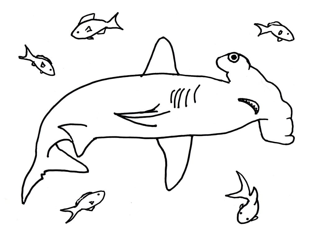 Hammerhead shark and fishes coloring page