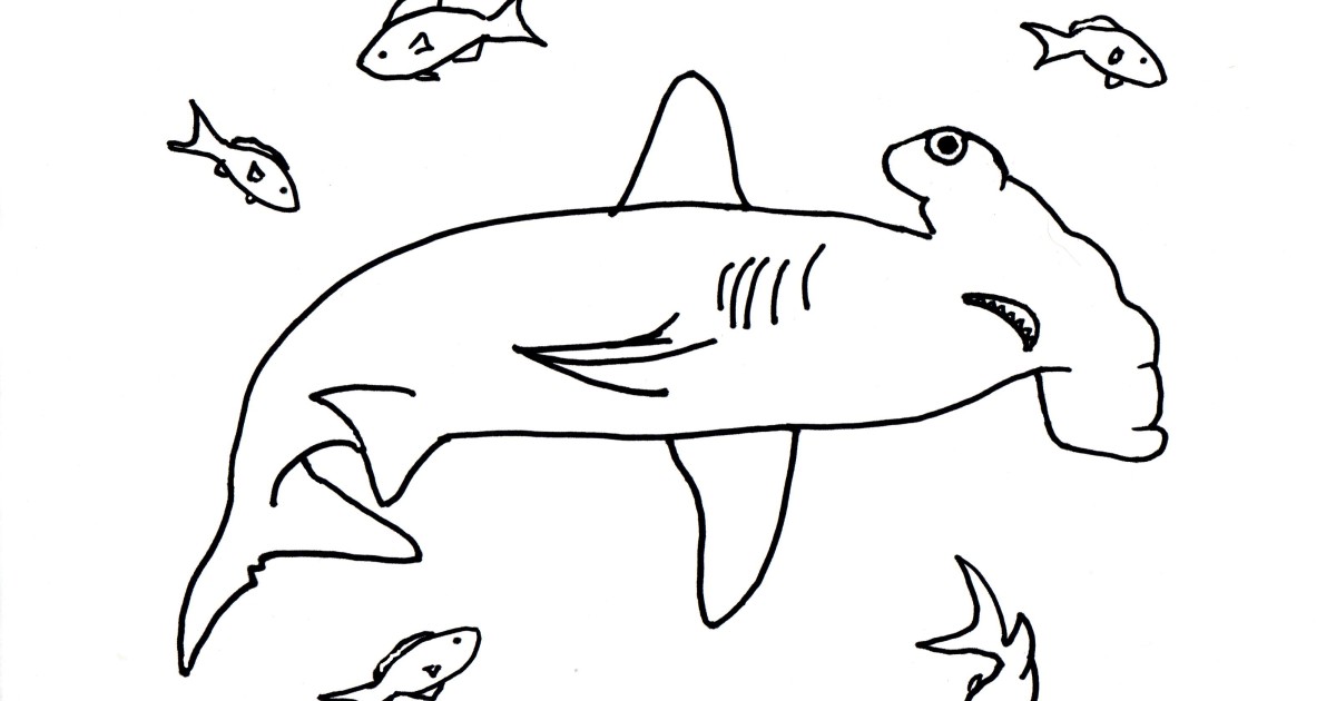 Hammerhead shark coloring page