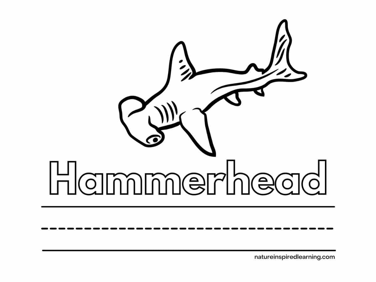 Hammerhead shark coloring pages