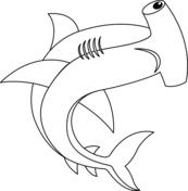 Hammerhead shark coloring pages free coloring pages