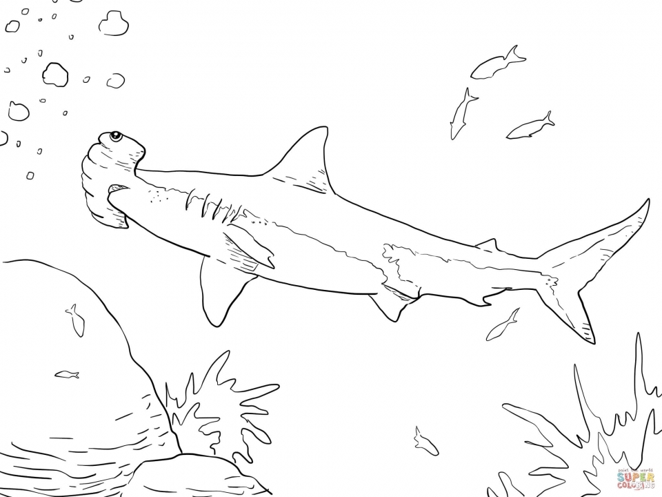 Get this hammerhead shark coloring pages