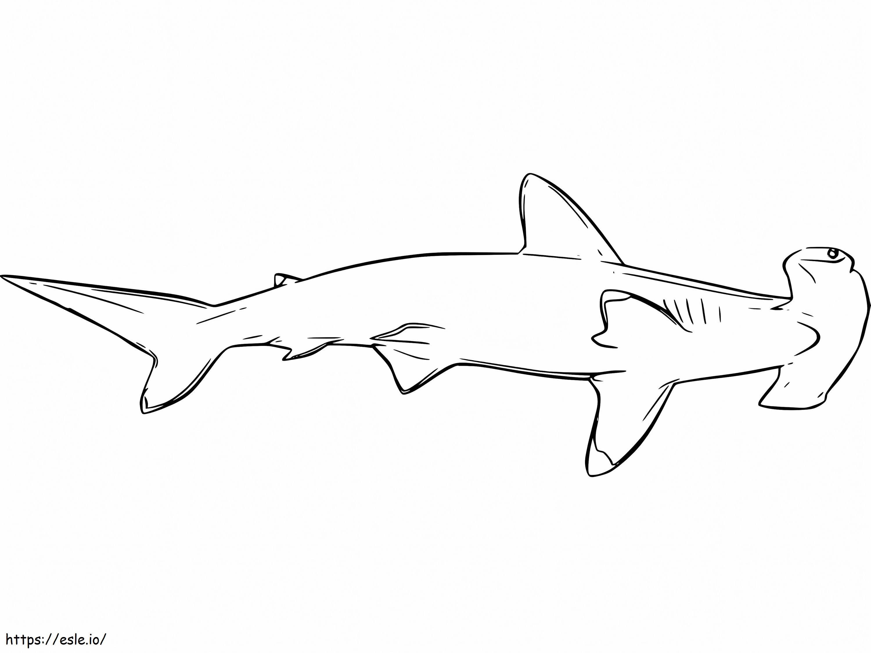 Hammerhead shark coloring page