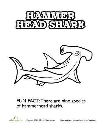 Hungry hammerhead shark worksheet education shark coloring pages shark coloring pages