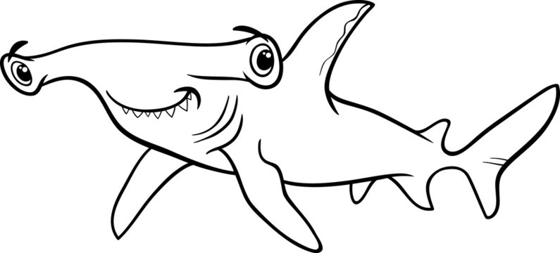 Hammerhead shark coloring book vector