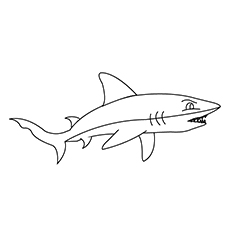 Top shark coloring pages for your little ones