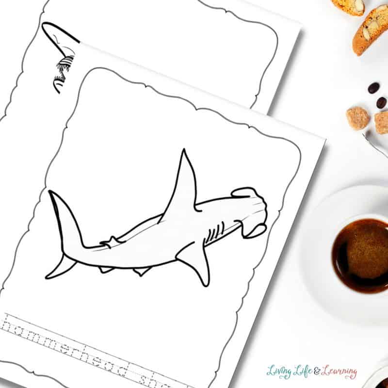 Shark coloring pages for kids