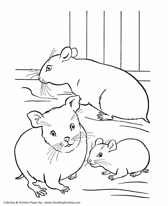 Pets coloring pages free printable hamster coloring pages and activity sheets for pre