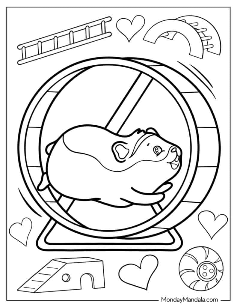 Hamster coloring pages free pdf printables